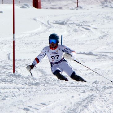 Championnat de France ski alpin handisport, les résultats